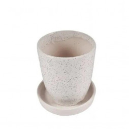 Prime plant pots with drain holes and tray