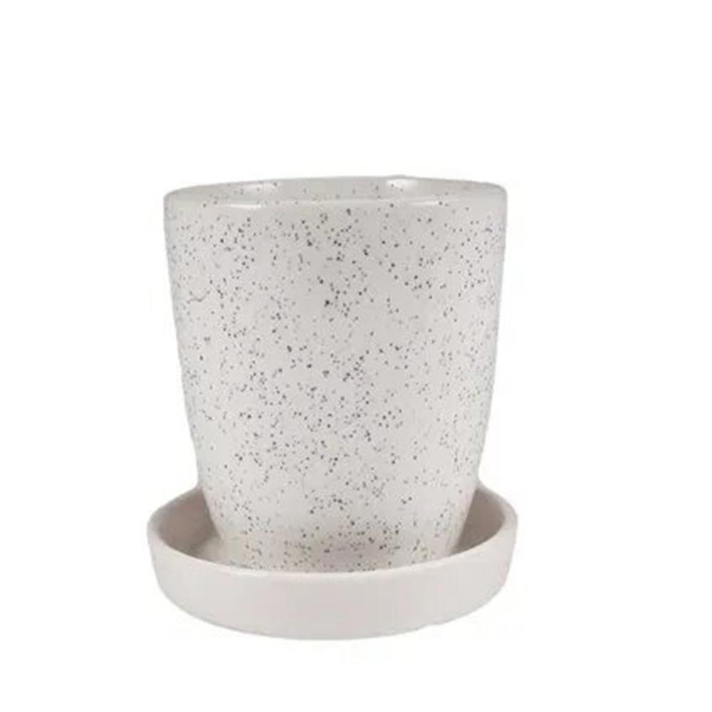 Prime plant pots with drain holes and tray