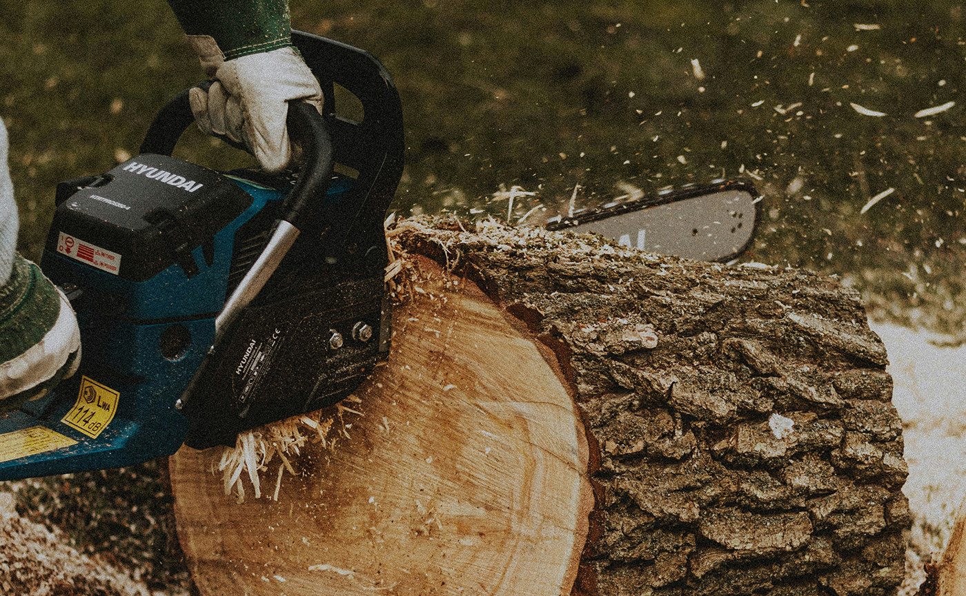 Turpis at eleifend ps mi elit Aenean porta ac sed faucibus