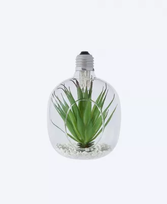 Hanging Glass Planters