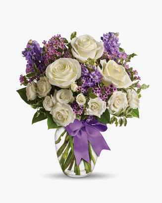 Gypsophila Flower Seed