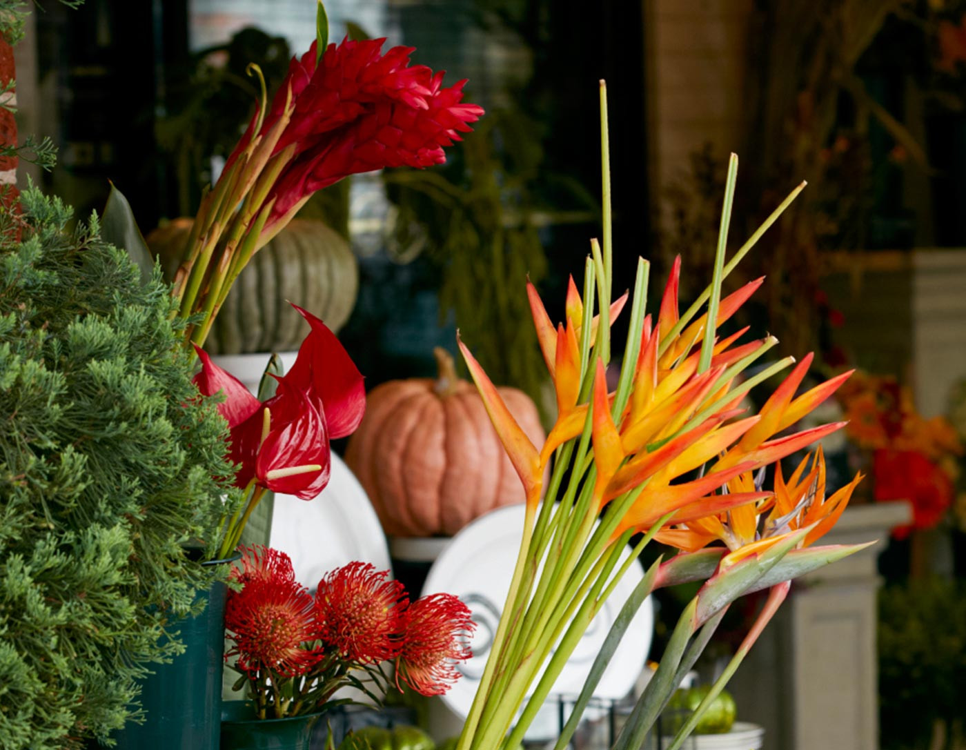 Sed ut perspiciatis unde omnis iste natus error accusantium doloremque