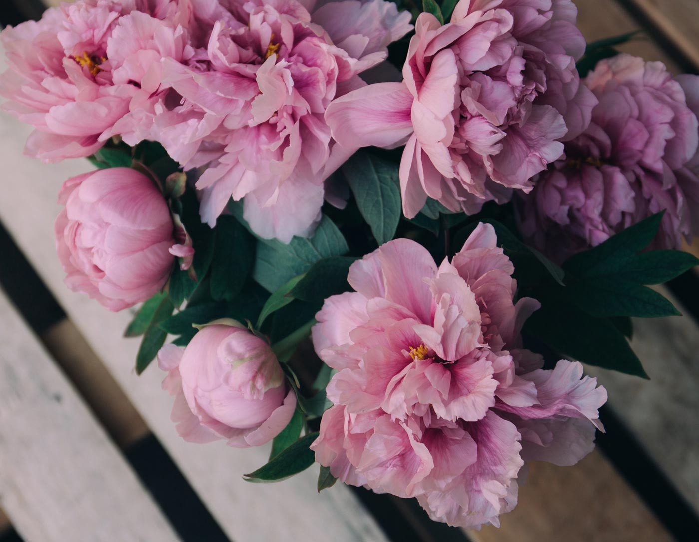 Nemo enim ipsam voluptatem quia voluptas sit aspernatur aut