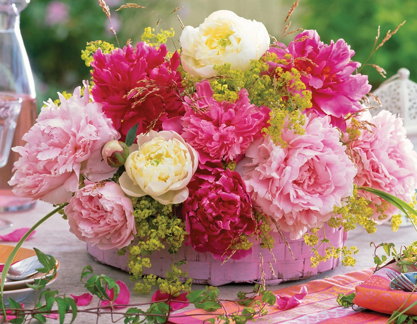 Morbi condimentum molestie Nam enim odio sodales molestie