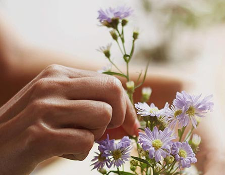 Turpis at eleifend ps mi elit Aenean porta ac sed faucibus eleifend