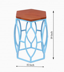 Century Modern Hexagonal Metallic Coffee Table