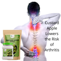 Custard Apple Powder natural Spray Dried good for Apple