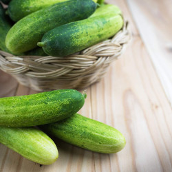 Cucumber Vegetable Seeds For Gardening