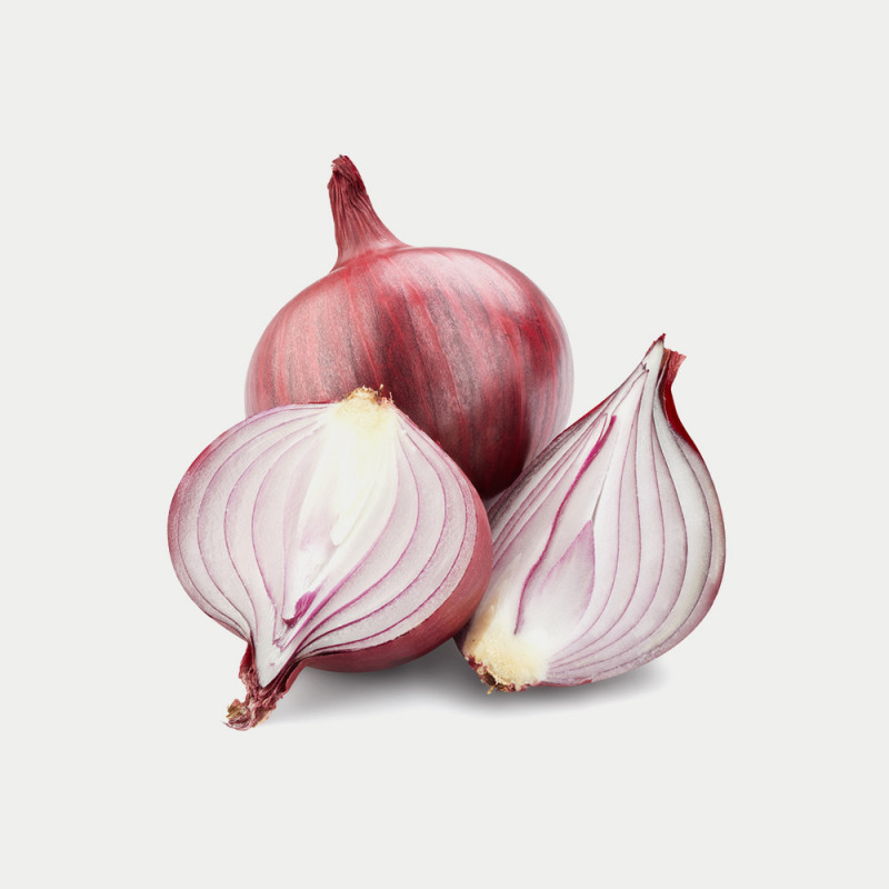 Onion hybrid seeds vegetable seeds