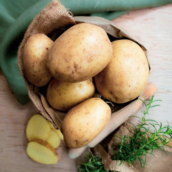 Yellow & Brown A Grade Fresh Potato