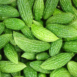 Creative Farmer Vegetable Seeds Bittergourd