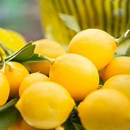 Yellow Lemons