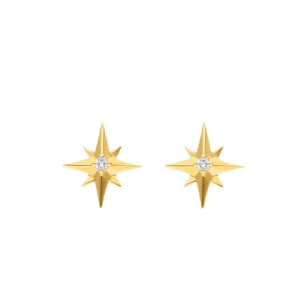 Guiding Star Ear Studs