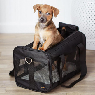 basics soft-sided mesh pet carrier | travel pet carrier