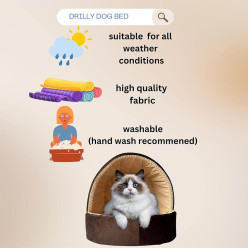 Cat House with Hanging teaser toy & Cat Beds for Indoor
