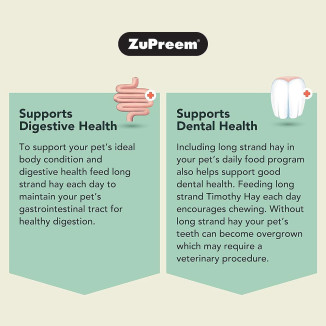 zupreem nature's promisetimothy naturalstm rabbit food