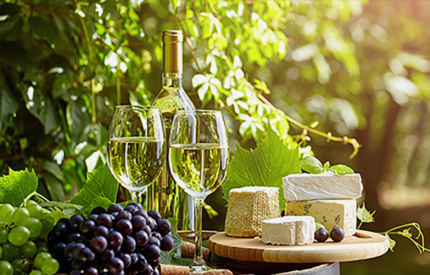 Turpis at eleifend ps mi elit Aenean porta ac sed faucibus