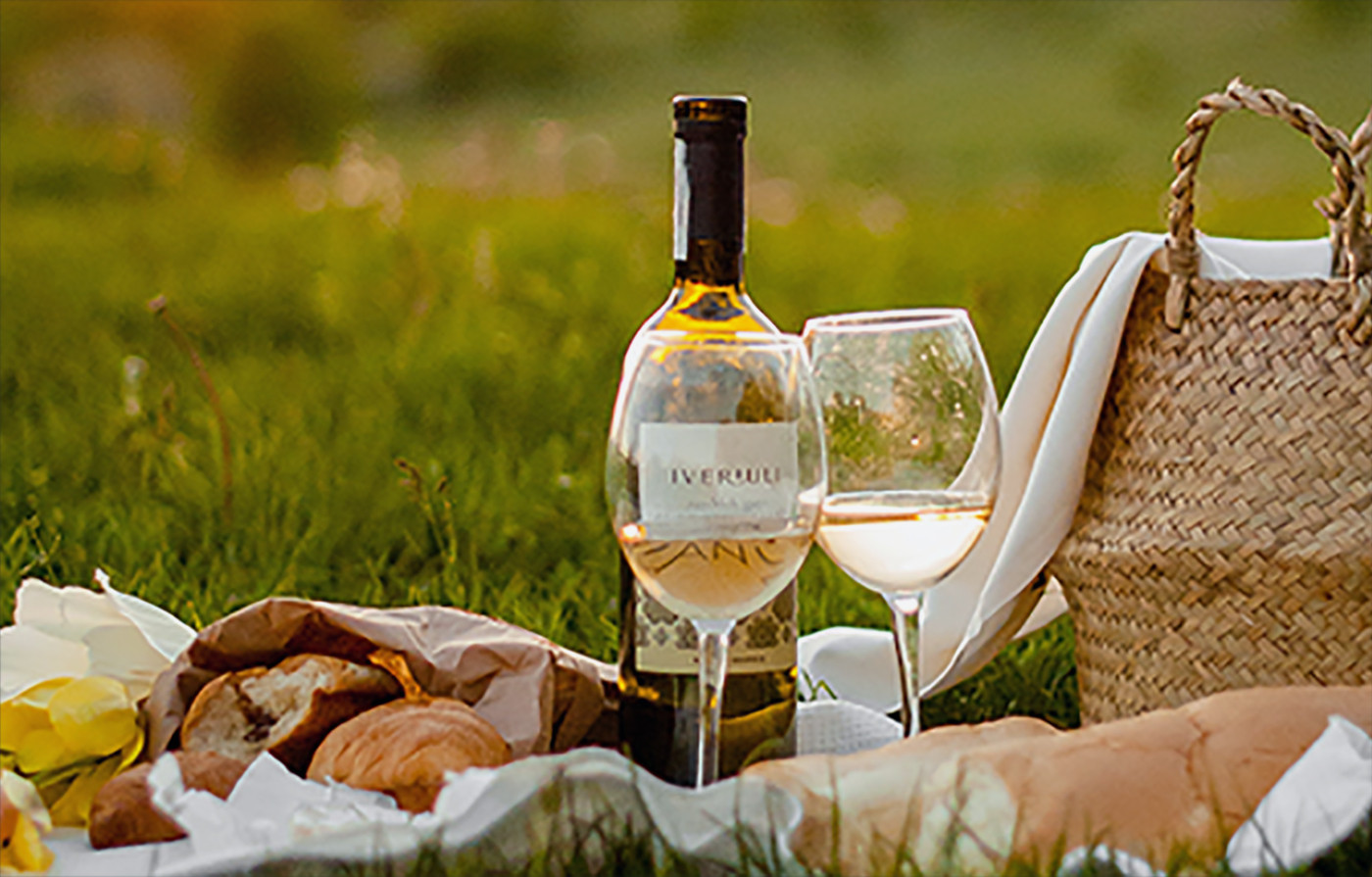 Urna pretium elit mauris cursus Curabitur at elit Vestibulum