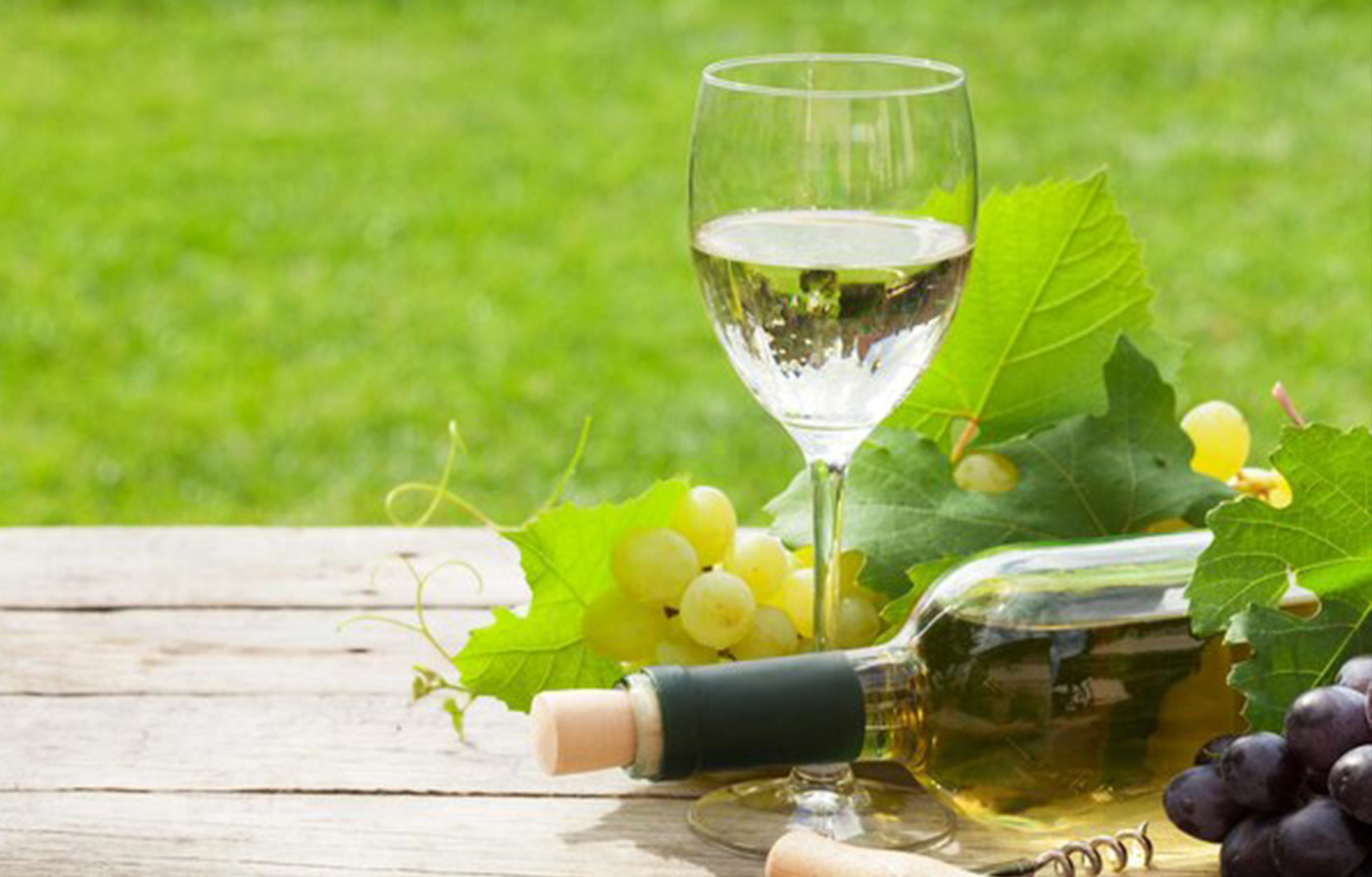 At risus pretium urna tortor metus fringilla