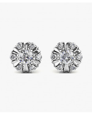 Sterling Silver Earrings