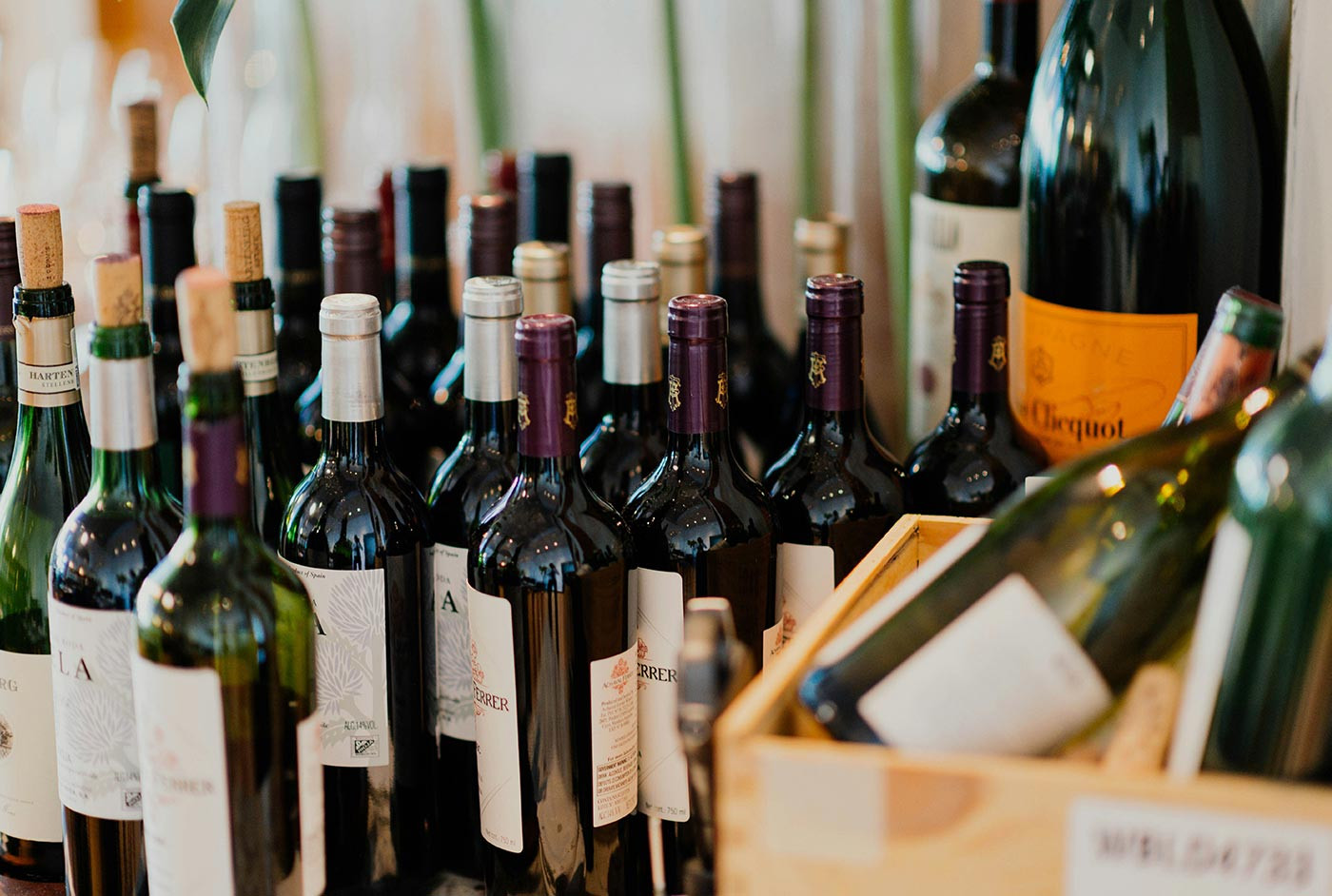  Exploring the differences between old world and new world wines