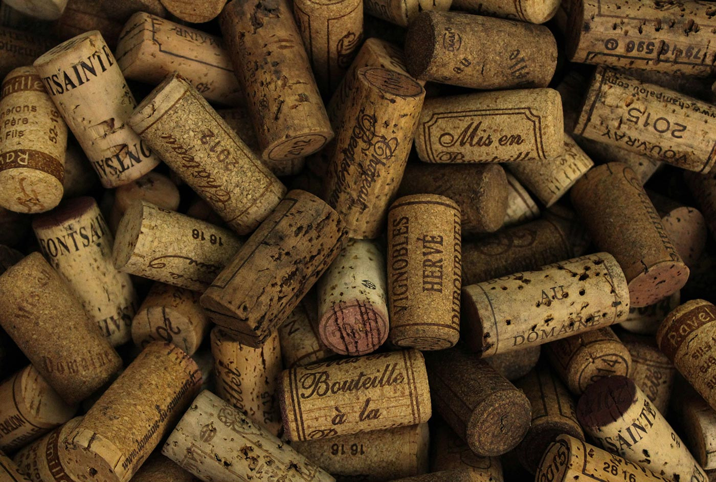  Beginner guide to wine tasting and flavor notes explained simply