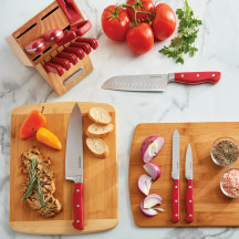 farberware professional forged triple rivet knife set