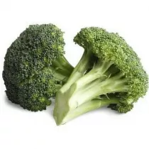 broccoli gobhi gardening plant seeds