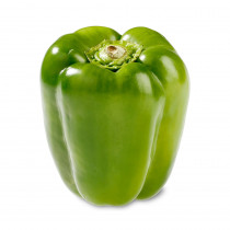 kirat organic green capsicum seed