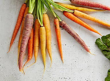 Explore our full range of tools built for durability