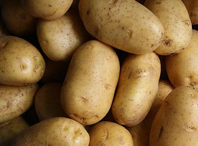 Precision Tools For Professionals And Home Experts