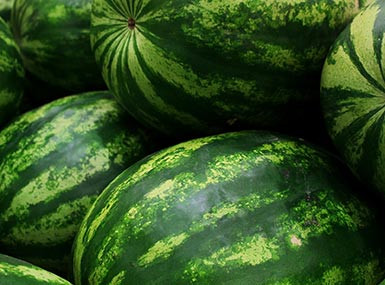 Affordable, long-lasting tools built to work as hard