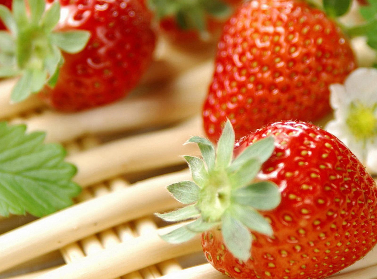 Equip your full shop with tough tools made for pros