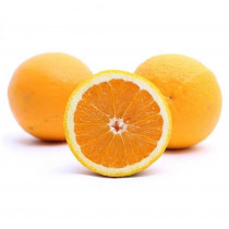 valencia seedless hybrid orange plant