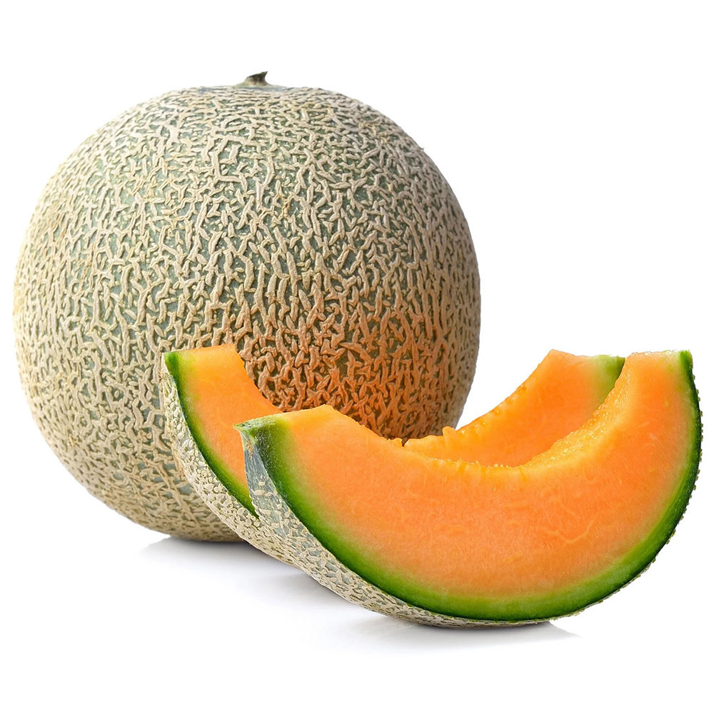 cooPany cantaloupe, kharbuja, musk melon