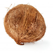 natural nariyal coconut essar organics