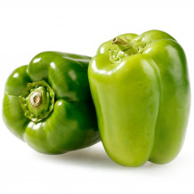 kirat organic green capsicum seed