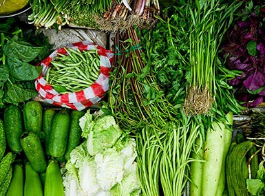 Complete Your Toolkit With Top-Quality Essentials