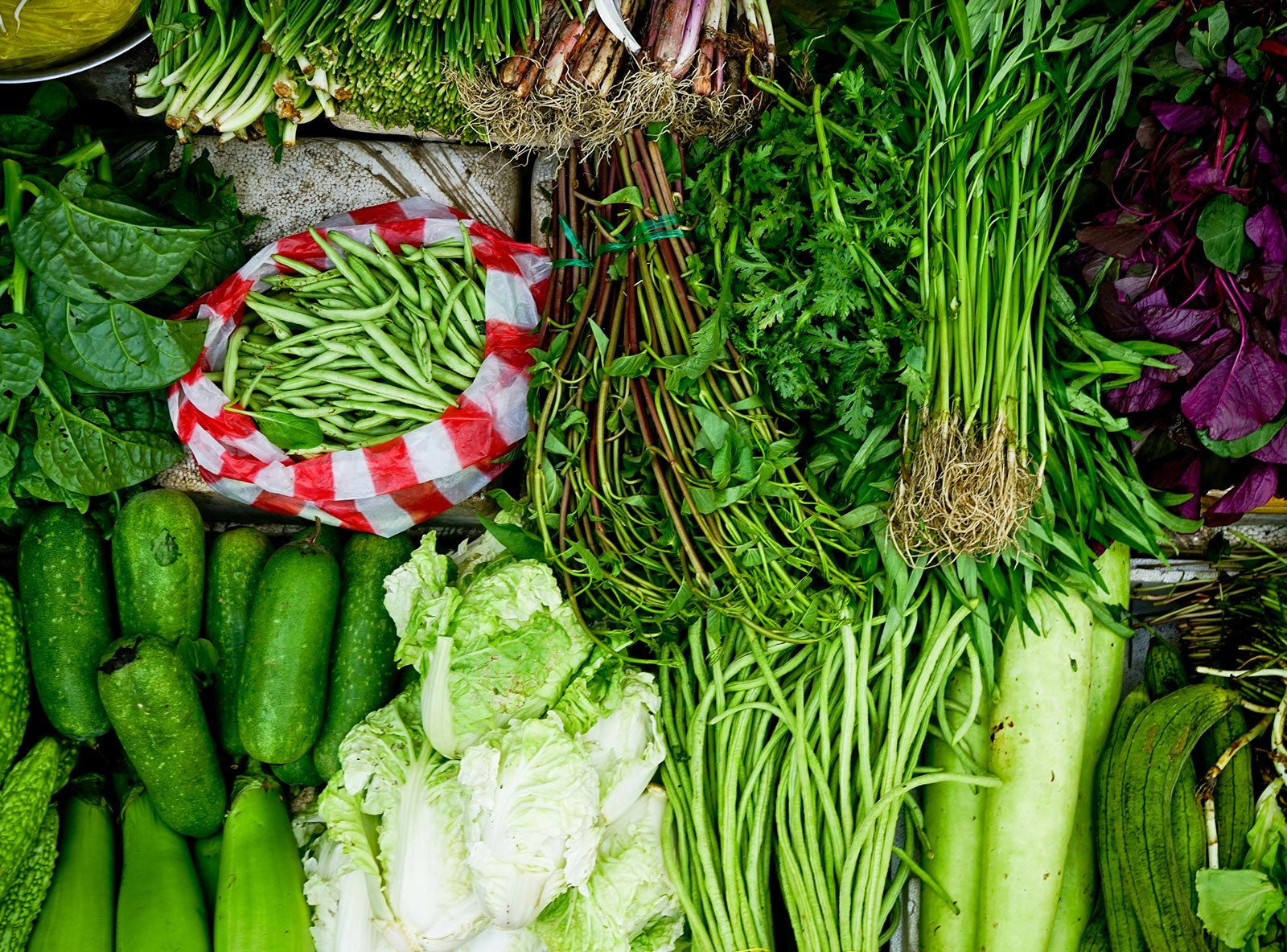 Complete Your Toolkit With Top-Quality Essentials