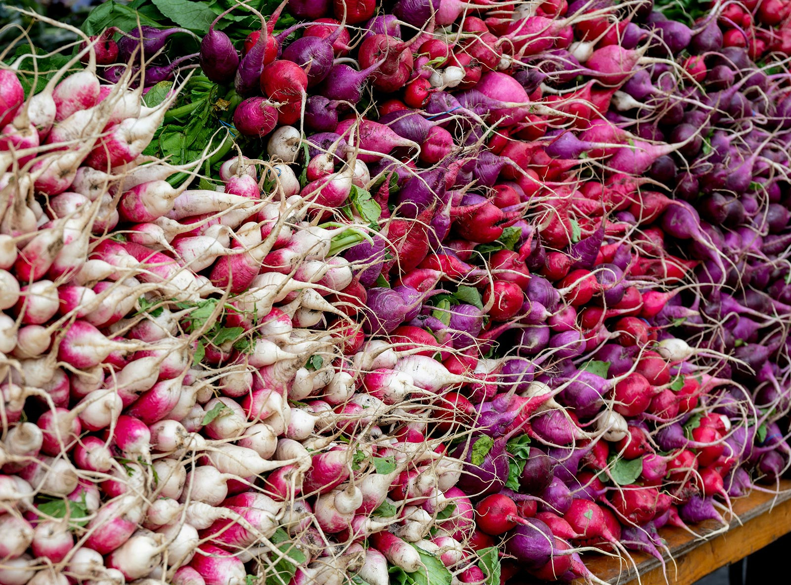 Essential Equipment For DIYers And Skilled Trades