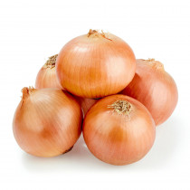 Onion hybrid seeds...