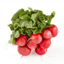 golden hills farm hybrid round red