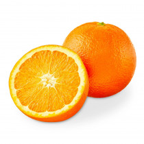 valencia seedless hybrid orange plant