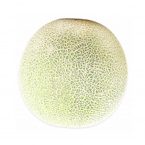 cooPany cantaloupe, kharbuja, musk melon