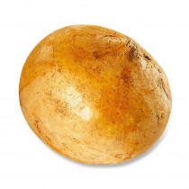 yellow & brown grade fresh potato