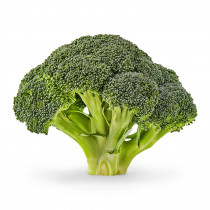 broccoli gobhi gardening plant seeds