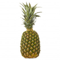 dried pineapple slices nutritious & delicious