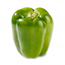 kirat organic green capsicum seed