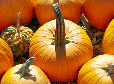 The right tools make every task easier and faster