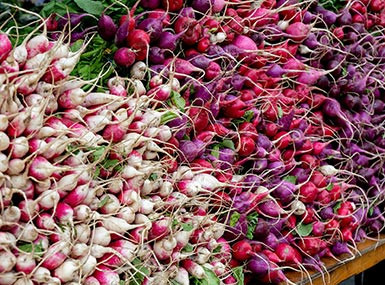 Essential Equipment For DIYers And Skilled Trades